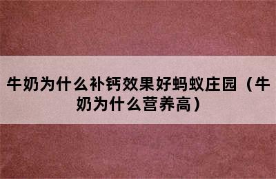 牛奶为什么补钙效果好蚂蚁庄园（牛奶为什么营养高）