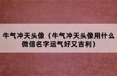 牛气冲天头像（牛气冲天头像用什么微信名字运气好又吉利）