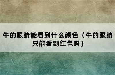 牛的眼睛能看到什么颜色（牛的眼睛只能看到红色吗）