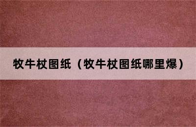 牧牛杖图纸（牧牛杖图纸哪里爆）