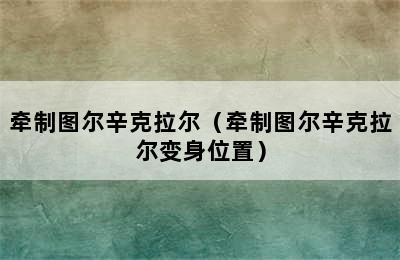 牵制图尔辛克拉尔（牵制图尔辛克拉尔变身位置）