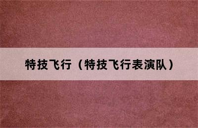 特技飞行（特技飞行表演队）