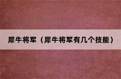 犀牛将军（犀牛将军有几个技能）