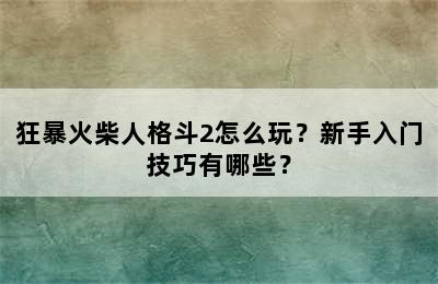 狂暴火柴人格斗2怎么玩？新手入门技巧有哪些？