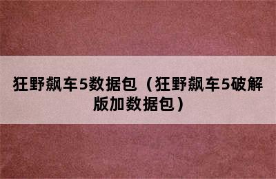 狂野飙车5数据包（狂野飙车5破解版加数据包）