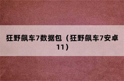 狂野飙车7数据包（狂野飙车7安卓11）