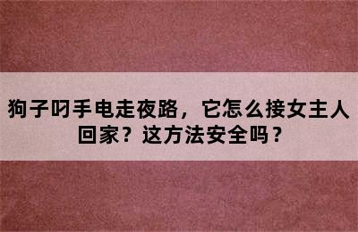 狗子叼手电走夜路，它怎么接女主人回家？这方法安全吗？