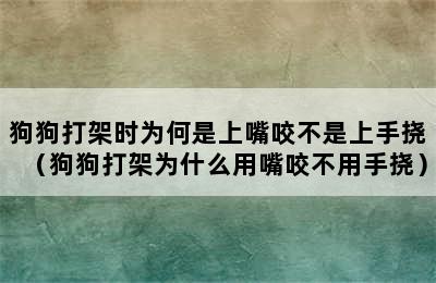 狗狗打架时为何是上嘴咬不是上手挠（狗狗打架为什么用嘴咬不用手挠）