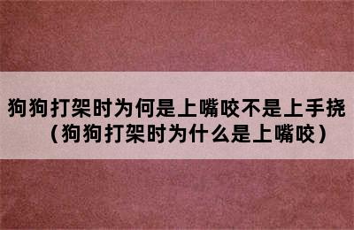 狗狗打架时为何是上嘴咬不是上手挠（狗狗打架时为什么是上嘴咬）