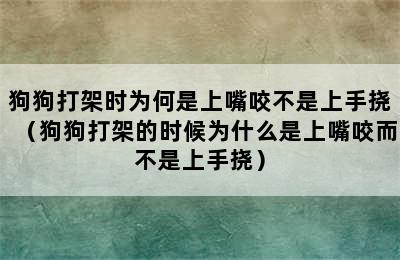 狗狗打架时为何是上嘴咬不是上手挠（狗狗打架的时候为什么是上嘴咬而不是上手挠）