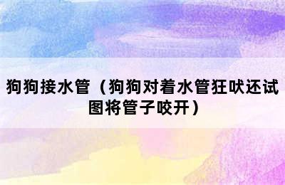 狗狗接水管（狗狗对着水管狂吠还试图将管子咬开）