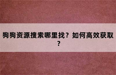 狗狗资源搜索哪里找？如何高效获取？