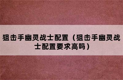 狙击手幽灵战士配置（狙击手幽灵战士配置要求高吗）