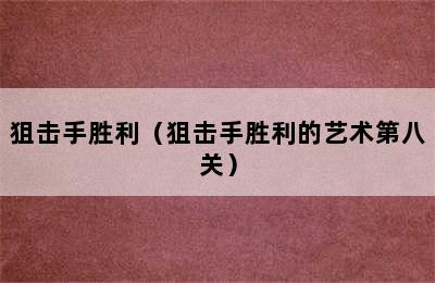 狙击手胜利（狙击手胜利的艺术第八关）