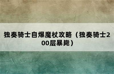 独奏骑士自爆魔杖攻略（独奏骑士200层暴毙）