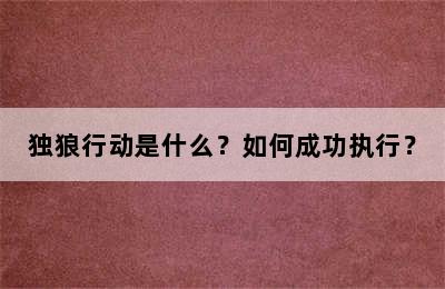 独狼行动是什么？如何成功执行？