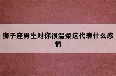 狮子座男生对你很温柔这代表什么感情