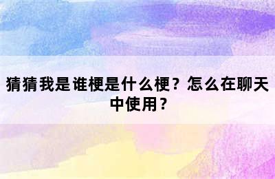 猜猜我是谁梗是什么梗？怎么在聊天中使用？