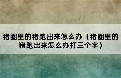 猪圈里的猪跑出来怎么办（猪圈里的猪跑出来怎么办打三个字）