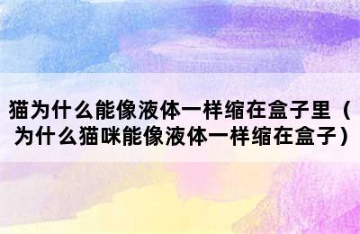 猫为什么能像液体一样缩在盒子里（为什么猫咪能像液体一样缩在盒子）