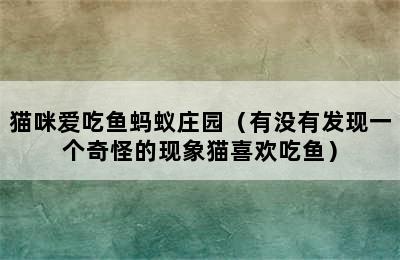 猫咪爱吃鱼蚂蚁庄园（有没有发现一个奇怪的现象猫喜欢吃鱼）