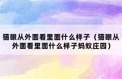 猫眼从外面看里面什么样子（猫眼从外面看里面什么样子蚂蚁庄园）