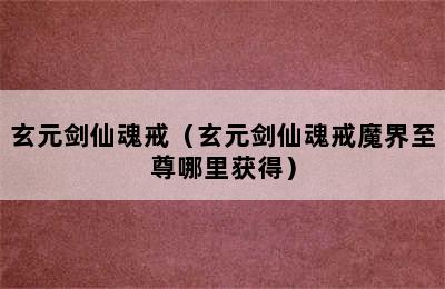 玄元剑仙魂戒（玄元剑仙魂戒魔界至尊哪里获得）