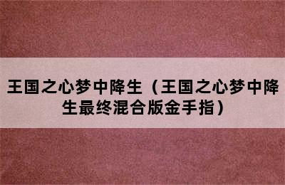 王国之心梦中降生（王国之心梦中降生最终混合版金手指）