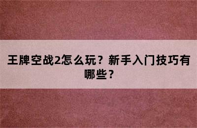 王牌空战2怎么玩？新手入门技巧有哪些？