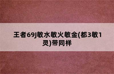 王者69J敏水敏火敏金(都3敏1灵)带同样