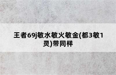 王者69j敏水敏火敏金(都3敏1灵)带同样