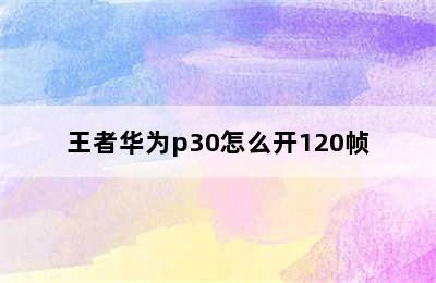 王者华为p30怎么开120帧