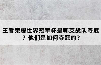 王者荣耀世界冠军杯是哪支战队夺冠？他们是如何夺冠的？