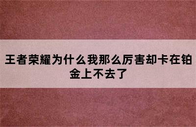 王者荣耀为什么我那么厉害却卡在铂金上不去了