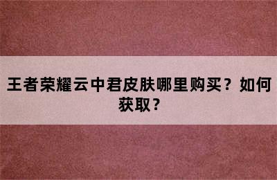 王者荣耀云中君皮肤哪里购买？如何获取？