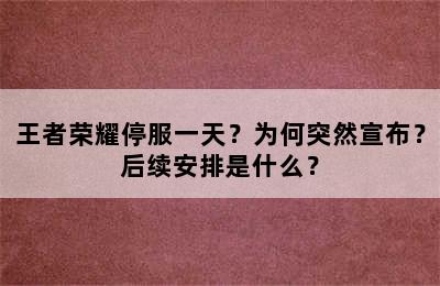 王者荣耀停服一天？为何突然宣布？后续安排是什么？