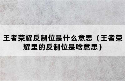 王者荣耀反制位是什么意思（王者荣耀里的反制位是啥意思）