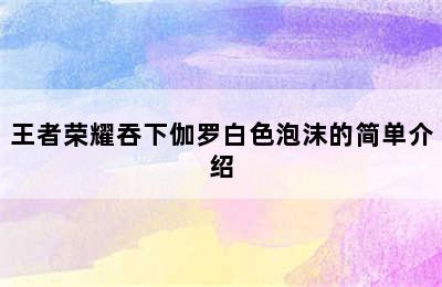 王者荣耀吞下伽罗白色泡沫的简单介绍