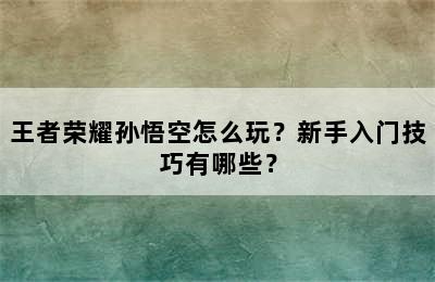 王者荣耀孙悟空怎么玩？新手入门技巧有哪些？