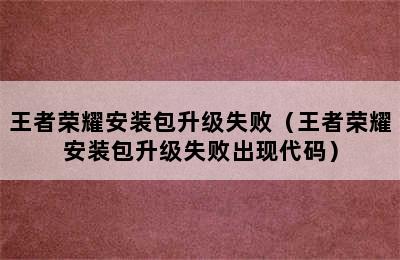 王者荣耀安装包升级失败（王者荣耀安装包升级失败出现代码）