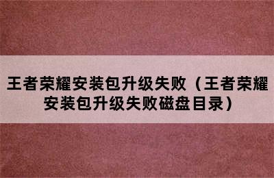 王者荣耀安装包升级失败（王者荣耀安装包升级失败磁盘目录）