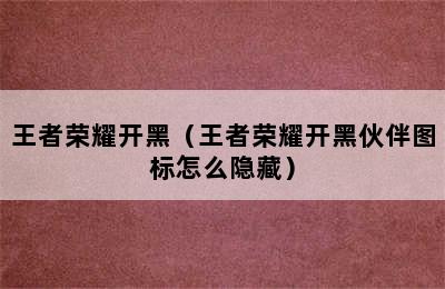 王者荣耀开黑（王者荣耀开黑伙伴图标怎么隐藏）