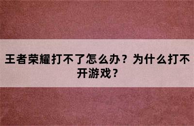 王者荣耀打不了怎么办？为什么打不开游戏？