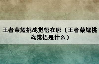 王者荣耀挑战觉悟在哪（王者荣耀挑战觉悟是什么）