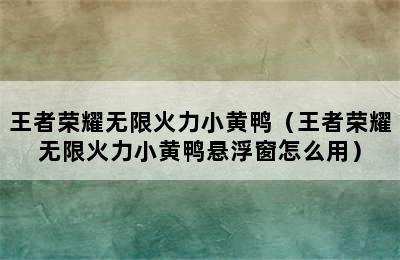 王者荣耀无限火力小黄鸭（王者荣耀无限火力小黄鸭悬浮窗怎么用）