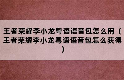 王者荣耀李小龙粤语语音包怎么用（王者荣耀李小龙粤语语音包怎么获得）