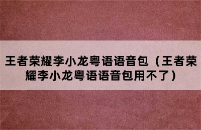 王者荣耀李小龙粤语语音包（王者荣耀李小龙粤语语音包用不了）