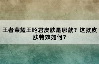 王者荣耀王昭君皮肤是哪款？这款皮肤特效如何？