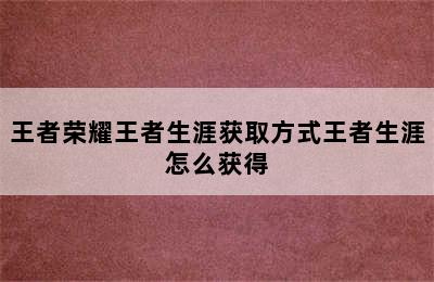 王者荣耀王者生涯获取方式王者生涯怎么获得