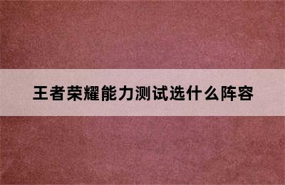 王者荣耀能力测试选什么阵容